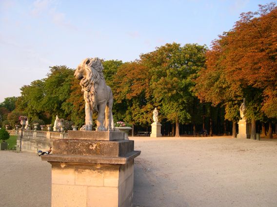  Un lion du jardin du Luxembourg